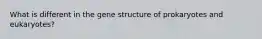 What is different in the gene structure of prokaryotes and eukaryotes?