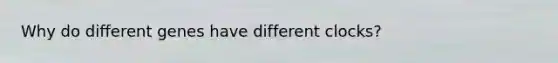 Why do different genes have different clocks?