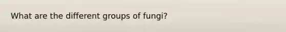 What are the different groups of fungi?