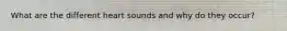 What are the different heart sounds and why do they occur?