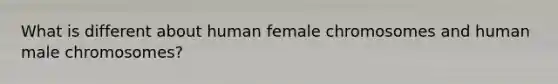 What is different about human female chromosomes and human male chromosomes?