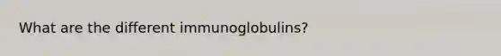 What are the different immunoglobulins?