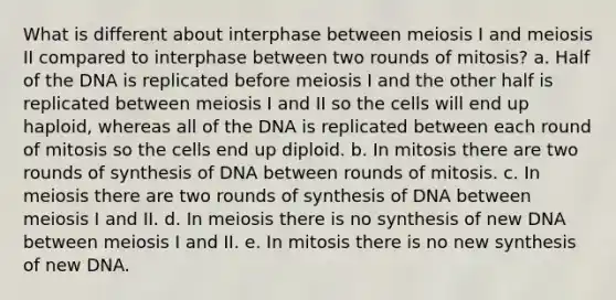 What is different about interphase between meiosis I and meiosis II compared to interphase between two rounds of mitosis? a. Half of the DNA is replicated before meiosis I and the other half is replicated between meiosis I and II so the cells will end up haploid, whereas all of the DNA is replicated between each round of mitosis so the cells end up diploid. b. In mitosis there are two rounds of synthesis of DNA between rounds of mitosis. c. In meiosis there are two rounds of synthesis of DNA between meiosis I and II. d. In meiosis there is no synthesis of new DNA between meiosis I and II. e. In mitosis there is no new synthesis of new DNA.