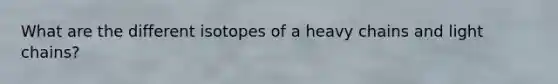 What are the different isotopes of a heavy chains and light chains?