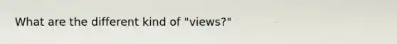 What are the different kind of "views?"