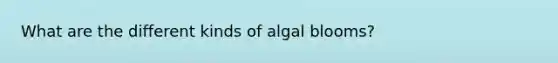 What are the different kinds of algal blooms?