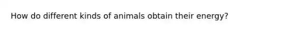 How do different kinds of animals obtain their energy?