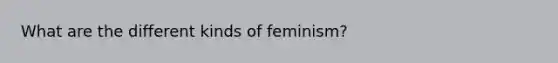 What are the different kinds of feminism?