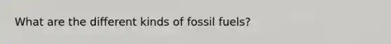 What are the different kinds of fossil fuels?