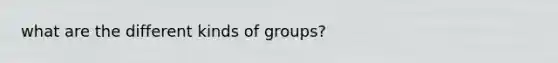 what are the different kinds of groups?