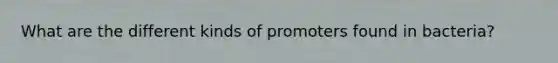 What are the different kinds of promoters found in bacteria?