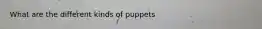 What are the different kinds of puppets