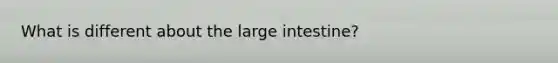 What is different about the large intestine?