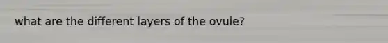 what are the different layers of the ovule?