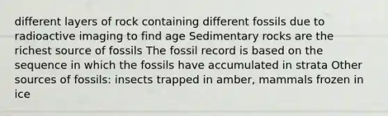 different layers of rock containing different fossils due to radioactive imaging to find age Sedimentary rocks are the richest source of fossils The fossil record is based on the sequence in which the fossils have accumulated in strata Other sources of fossils: insects trapped in amber, mammals frozen in ice