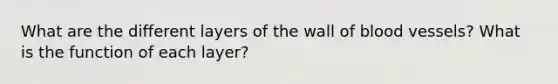 What are the different layers of the wall of blood vessels? What is the function of each layer?