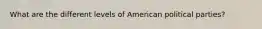 What are the different levels of American political parties?