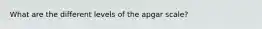 What are the different levels of the apgar scale?