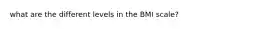 what are the different levels in the BMI scale?