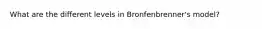 What are the different levels in Bronfenbrenner's model?