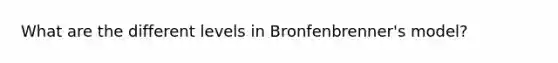 What are the different levels in Bronfenbrenner's model?