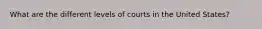 What are the different levels of courts in the United States?