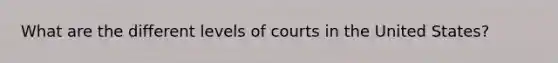 What are the different levels of courts in the United States?