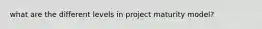 what are the different levels in project maturity model?