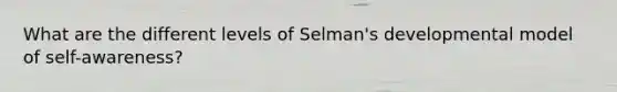 What are the different levels of Selman's developmental model of self-awareness?