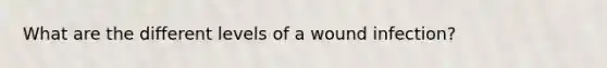 What are the different levels of a wound infection?