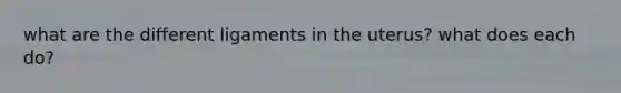what are the different ligaments in the uterus? what does each do?