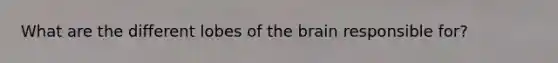 What are the different lobes of the brain responsible for?