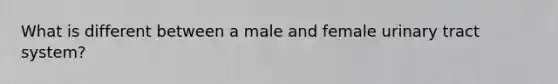 What is different between a male and female urinary tract system?