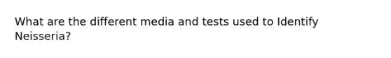 What are the different media and tests used to Identify Neisseria?