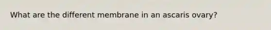 What are the different membrane in an ascaris ovary?