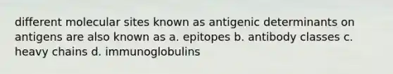 different molecular sites known as antigenic determinants on antigens are also known as a. epitopes b. antibody classes c. heavy chains d. immunoglobulins