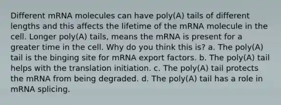 Different mRNA molecules can have poly(A) tails of different lengths and this affects the lifetime of the mRNA molecule in the cell. Longer poly(A) tails, means the mRNA is present for a greater time in the cell. Why do you think this is? a. The poly(A) tail is the binging site for mRNA export factors. b. The poly(A) tail helps with the translation initiation. c. The poly(A) tail protects the mRNA from being degraded. d. The poly(A) tail has a role in mRNA splicing.