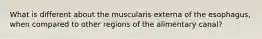 What is different about the muscularis externa of the esophagus, when compared to other regions of the alimentary canal?