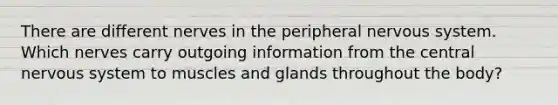 There are different nerves in the peripheral nervous system. Which nerves carry outgoing information from the central nervous system to muscles and glands throughout the body?