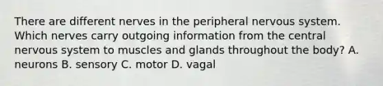 There are different nerves in the peripheral nervous system. Which nerves carry outgoing information from the central nervous system to muscles and glands throughout the body? A. neurons B. sensory C. motor D. vagal