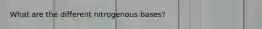 What are the different nitrogenous bases?