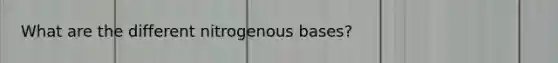 What are the different nitrogenous bases?