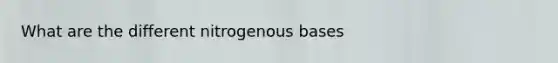 What are the different nitrogenous bases