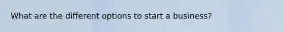 What are the different options to start a business?