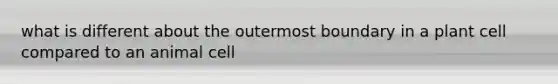 what is different about the outermost boundary in a plant cell compared to an animal cell