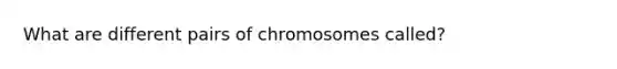 What are different pairs of chromosomes called?