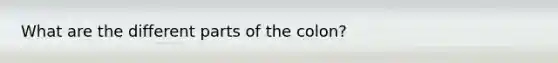What are the different parts of the colon?