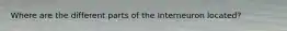 Where are the different parts of the Interneuron located?
