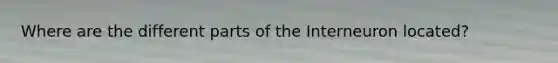 Where are the different parts of the Interneuron located?