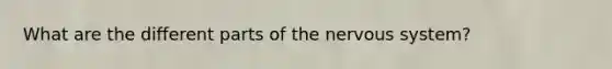 What are the different parts of the nervous system?